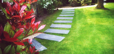 Venez jeter un coup d’œil à nos réalisations